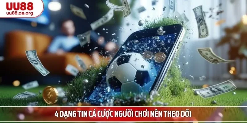 4 dạng tin cá cược người chơi nên theo dõi